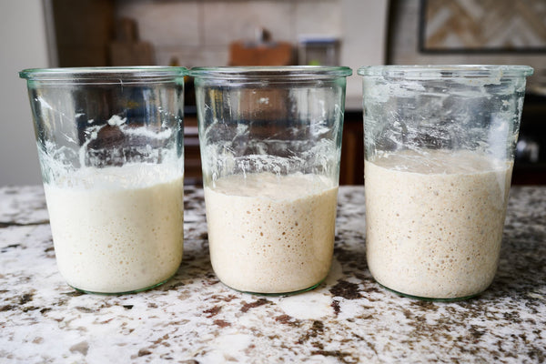 Weck Jars filled with Sourdough Starters @ https://www.theperfectloaf.com/the-importance-of-dough-temperature-in-baking/