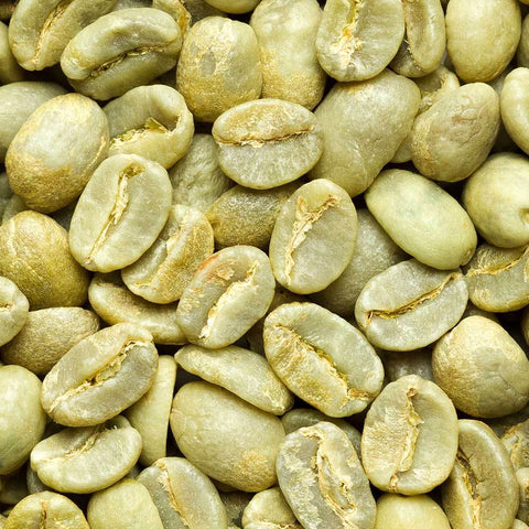 green coffee wholesale