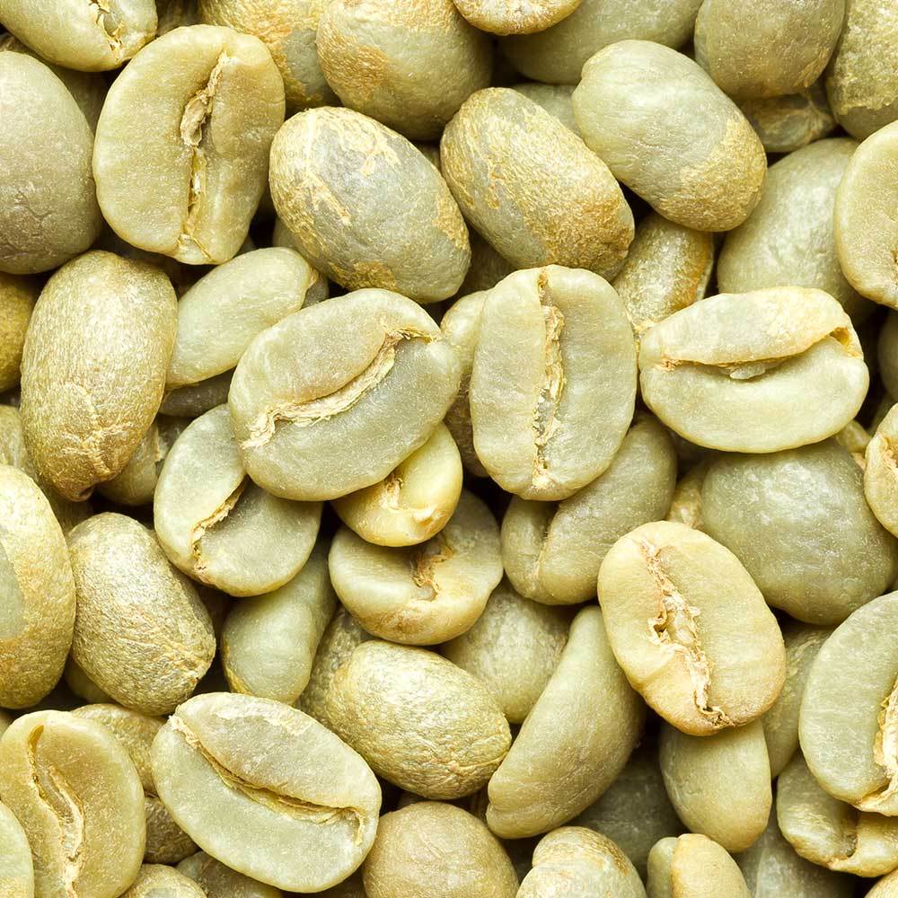 Peru Green Coffee Beans Wholesale Java Bean Plus