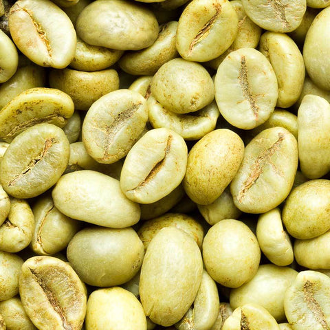 green coffee bean distributors