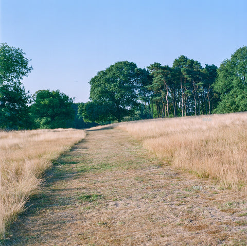 English Countryside