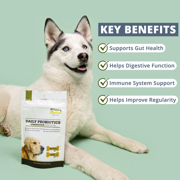 Probiotic Chews for Dogs With Prebiotics | Paw Choice®