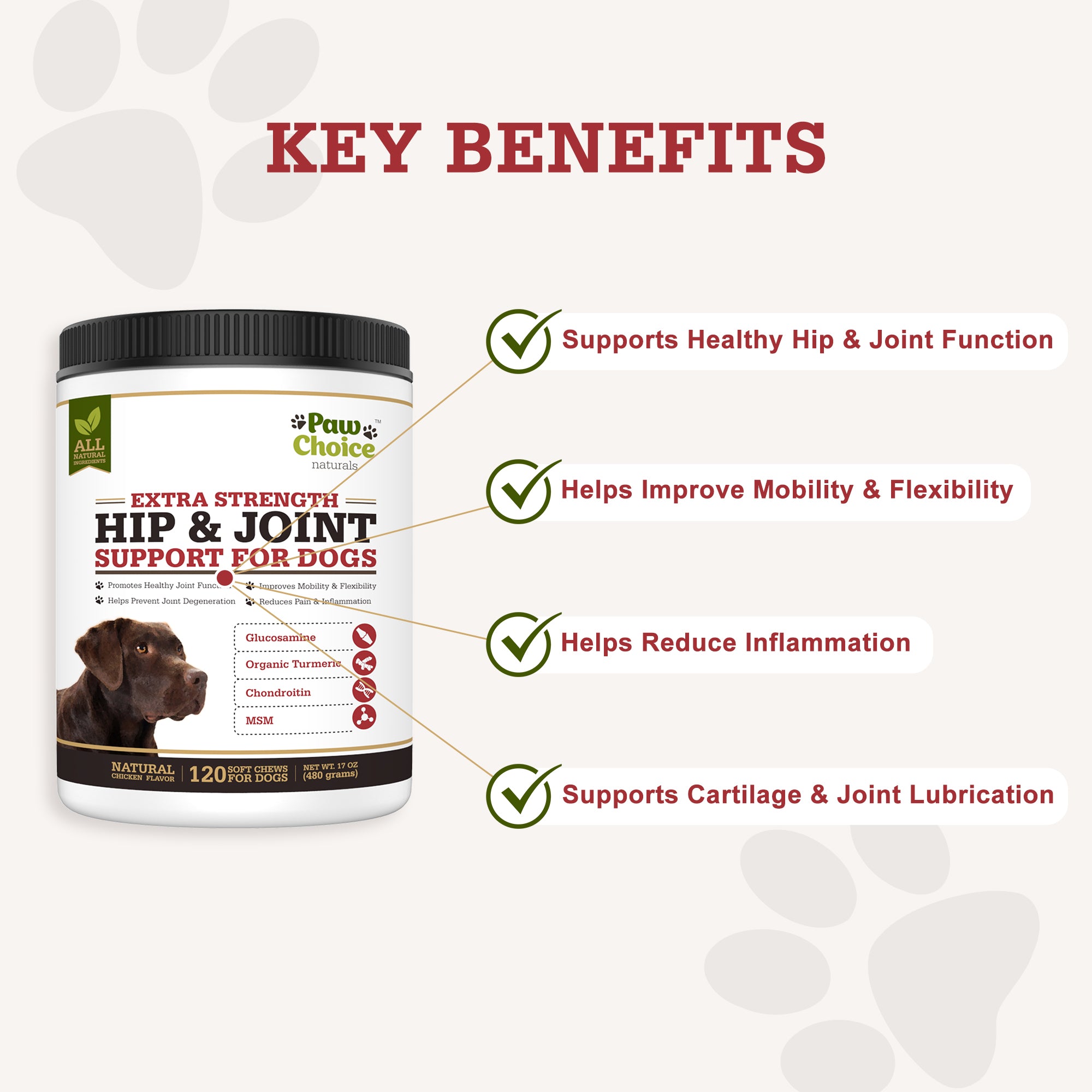 what is a good joint supplement for dogs