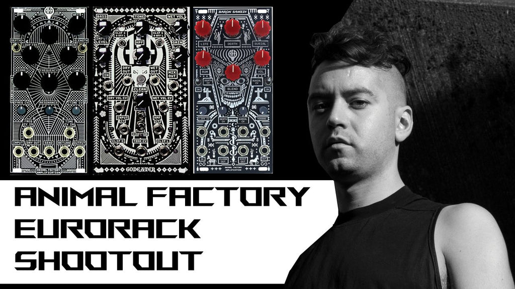 Blush Response tries out the Animal Factory Amplification Eurorack FX Modules 