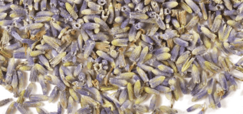 dried lavender buds