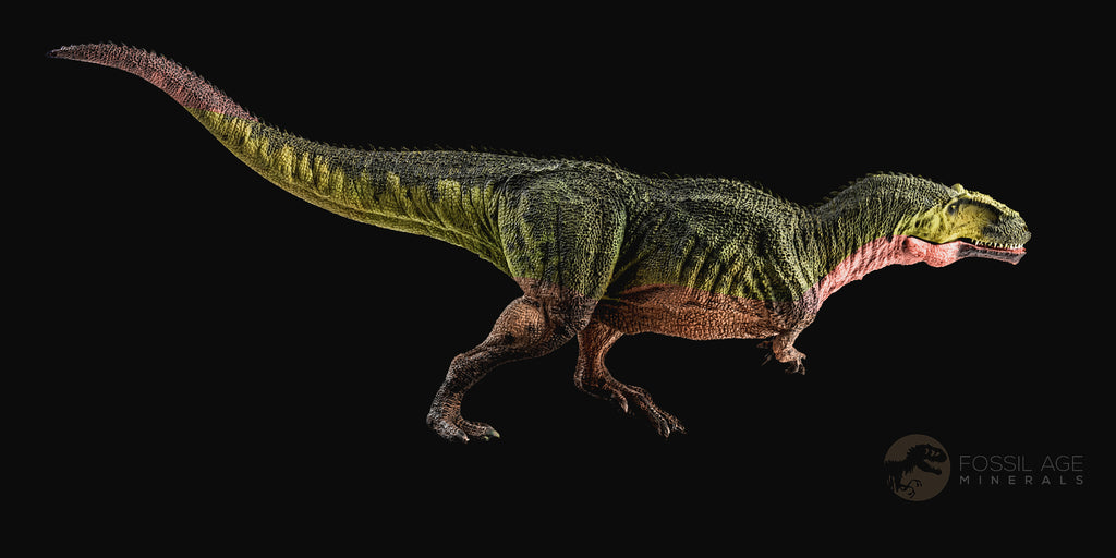 Albertosaurus