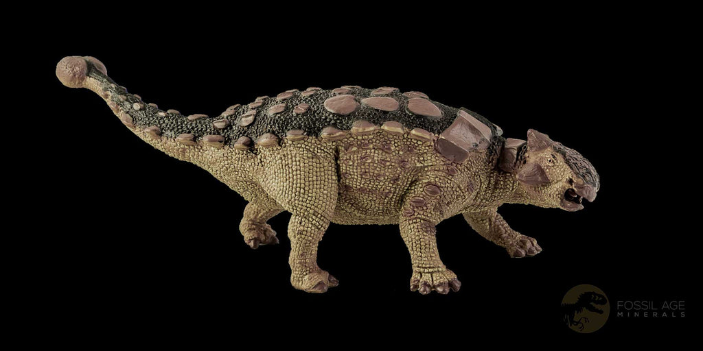 Ankylosaurus