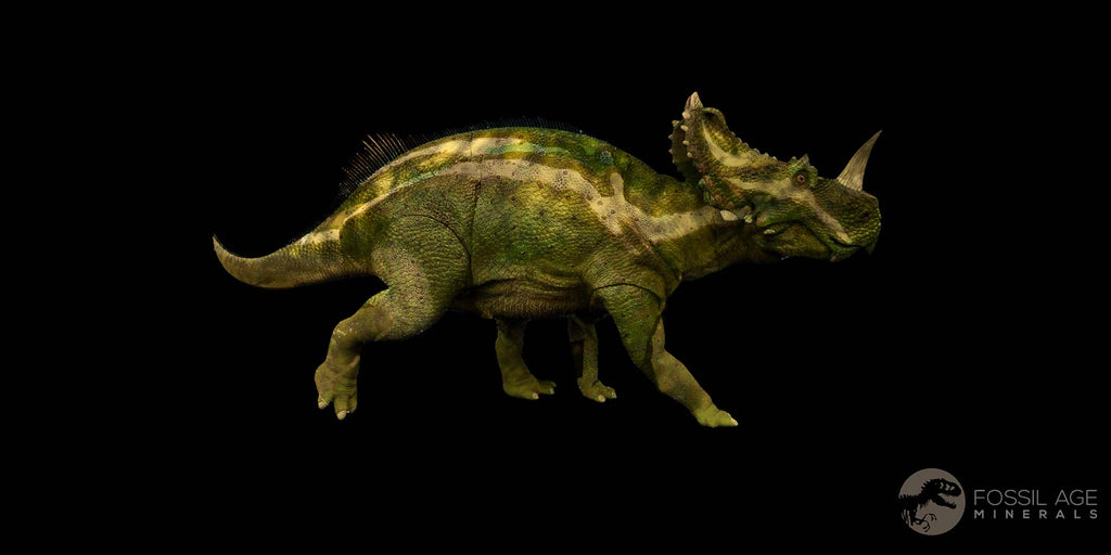 Centrosaurus