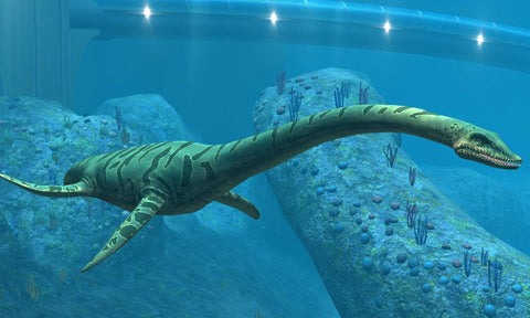 Learn Some Of The Interesting Facts About Elasmosaurus Fossils