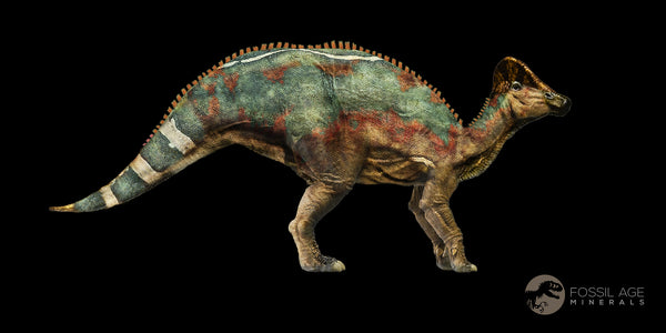 Hypacrosaurus Dinosaur