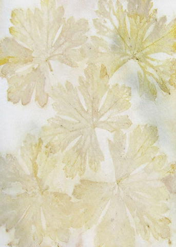 Margriet van Schaik leaf print