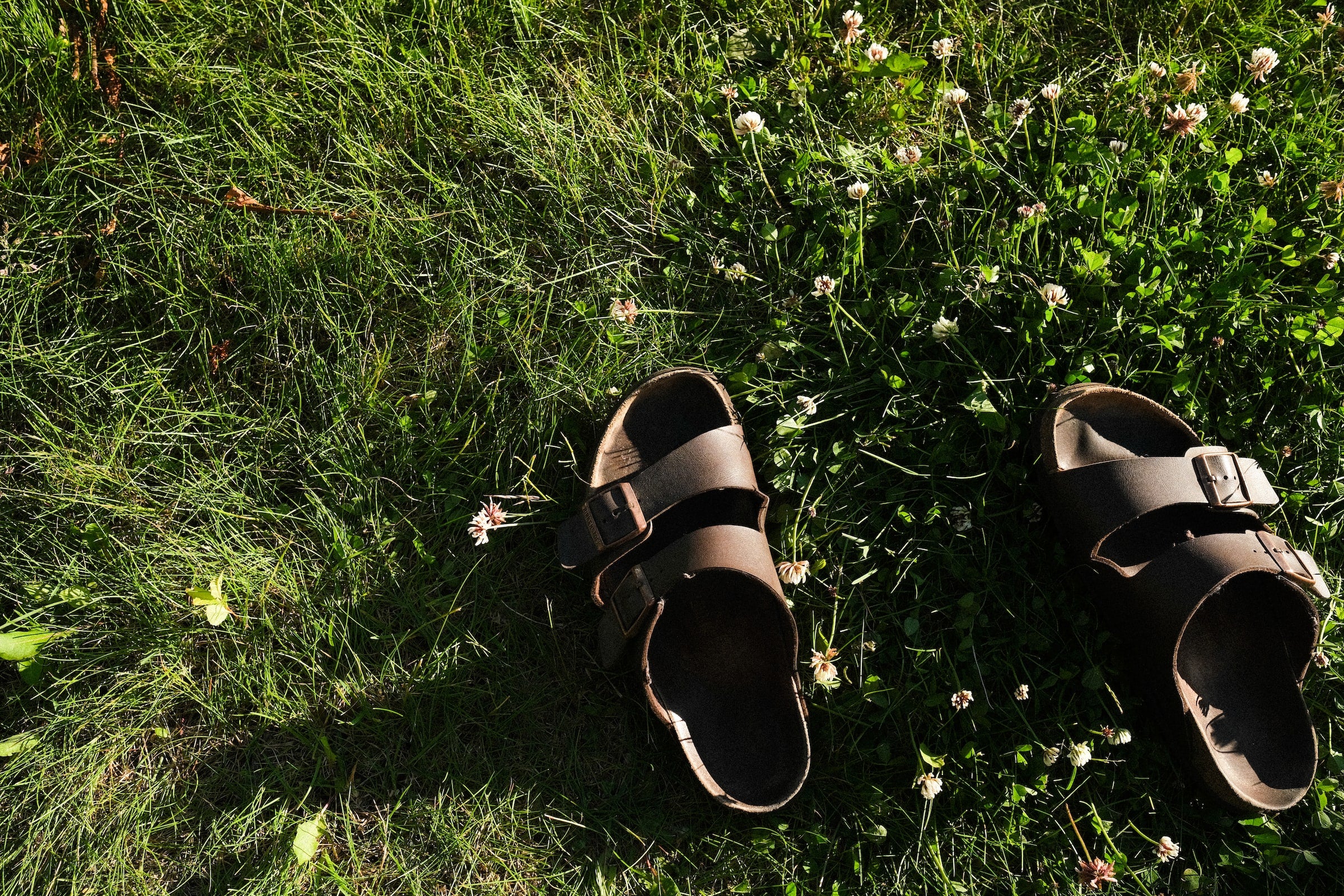 brown Birkenstocks outside on the grass