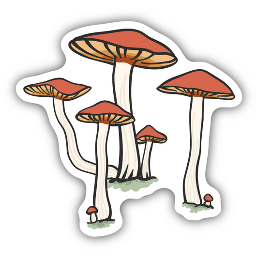 Mushroom Frog Sticker