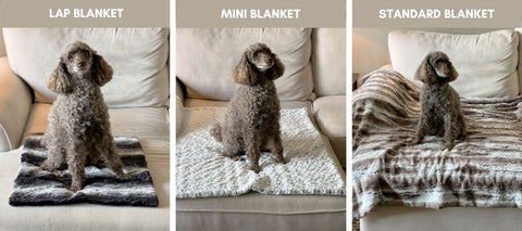 Dog on three different sizes of faux fur pet blankets handmade in Seattle, WA by Pandemonium Millinery USA