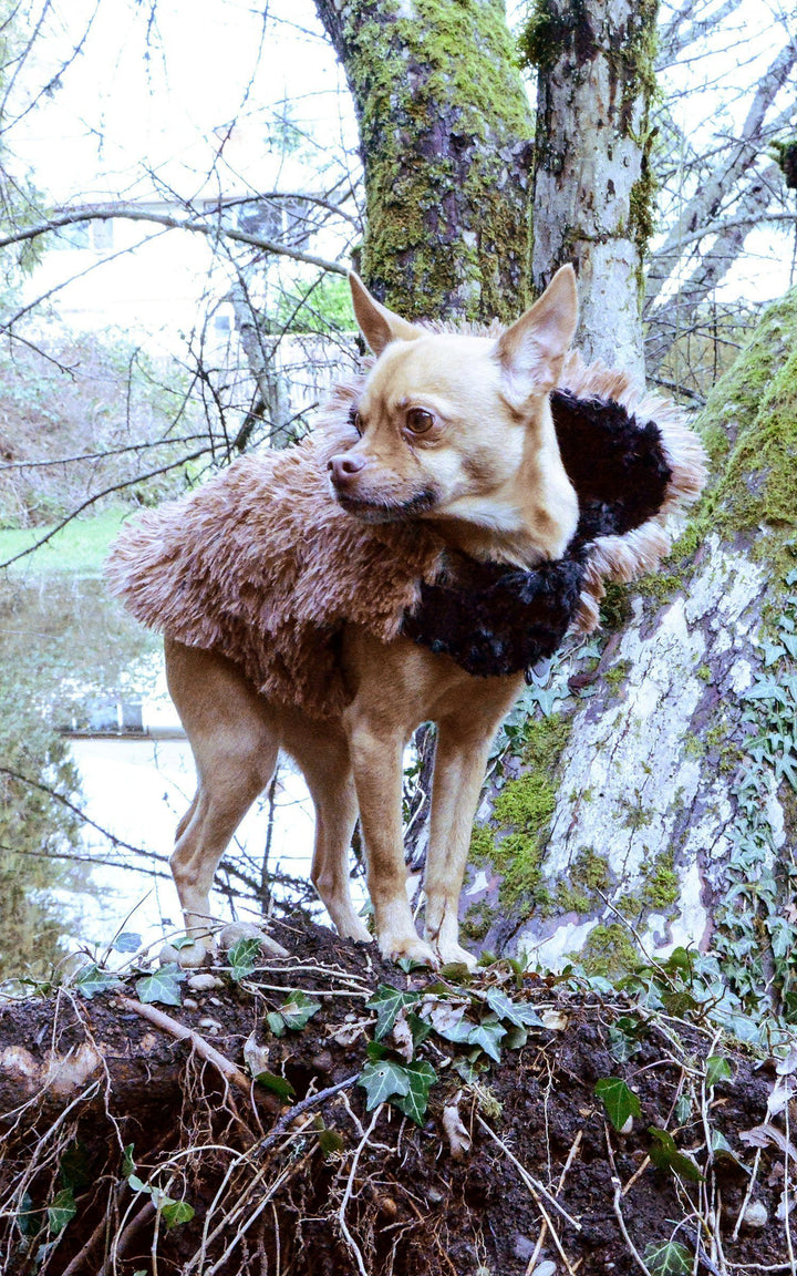 Louis Pup Faux Fur Coat