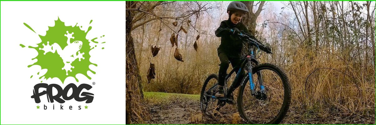 Frog Bikes Banner