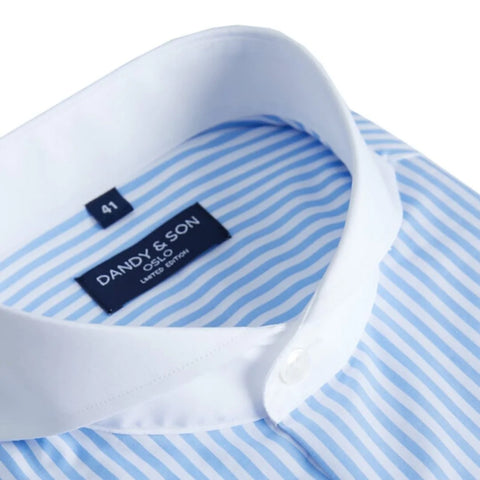 Blue Striped Contrast Collar Shirt from Dandy & Son