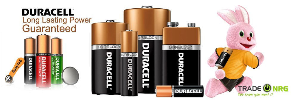 Duracell 389/390 Pile Non-Rechargeable : : High-Tech