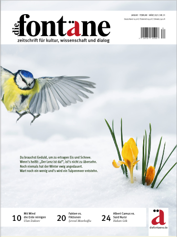 Die Fontäne - Ausgabe 91 (Januar - Februar - März 2021)
