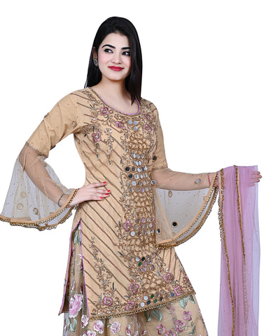 Indian Clothes In UK | Asian Bridal Clothes – Fancy Fashions Ltd