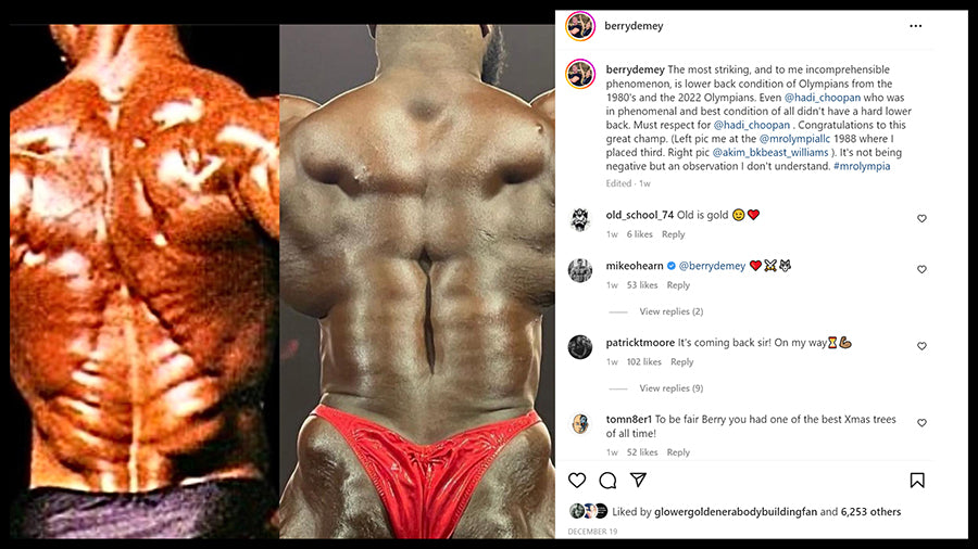 Bodybuilding Comparsion - Akim Williams vs Berry de Mey