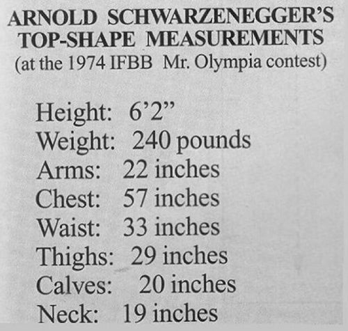 Arnold Schwarzenegger - 1974 Measurements