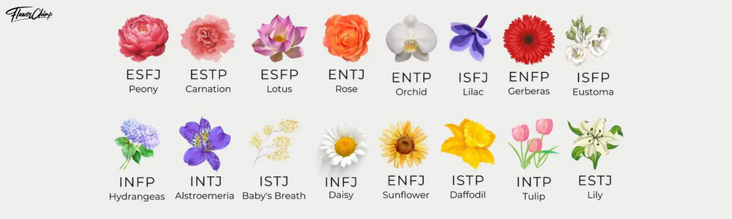 If you know your MBTI personality type then you'll enjoy this. If