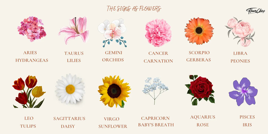 Zodiac Signs as Flowers