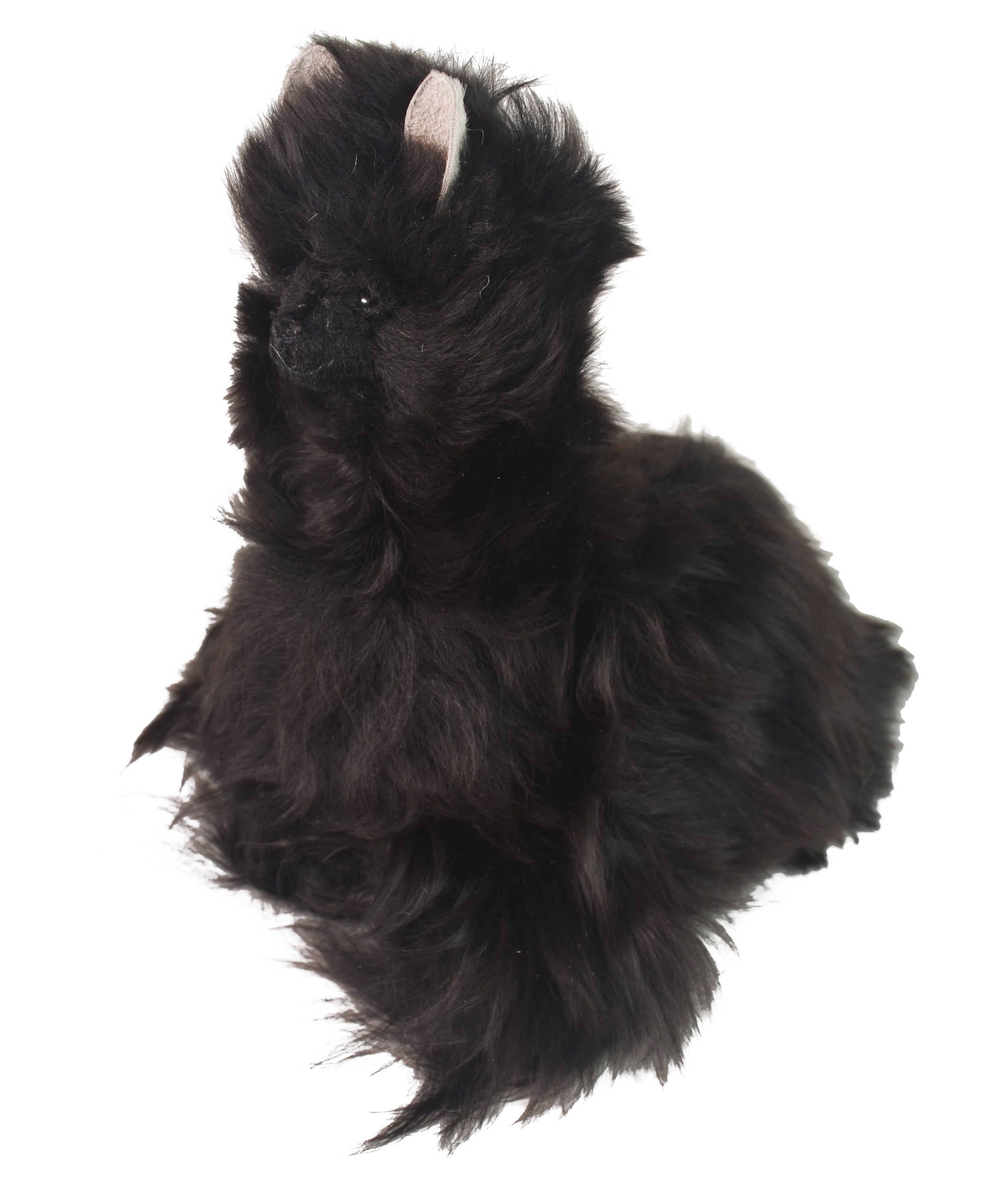 black alpaca plush