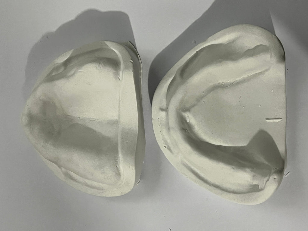 Tipodonto Modelo de yeso desdentado – Deposito Dental Molar