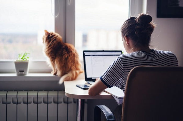 Australian worker safely working from home.