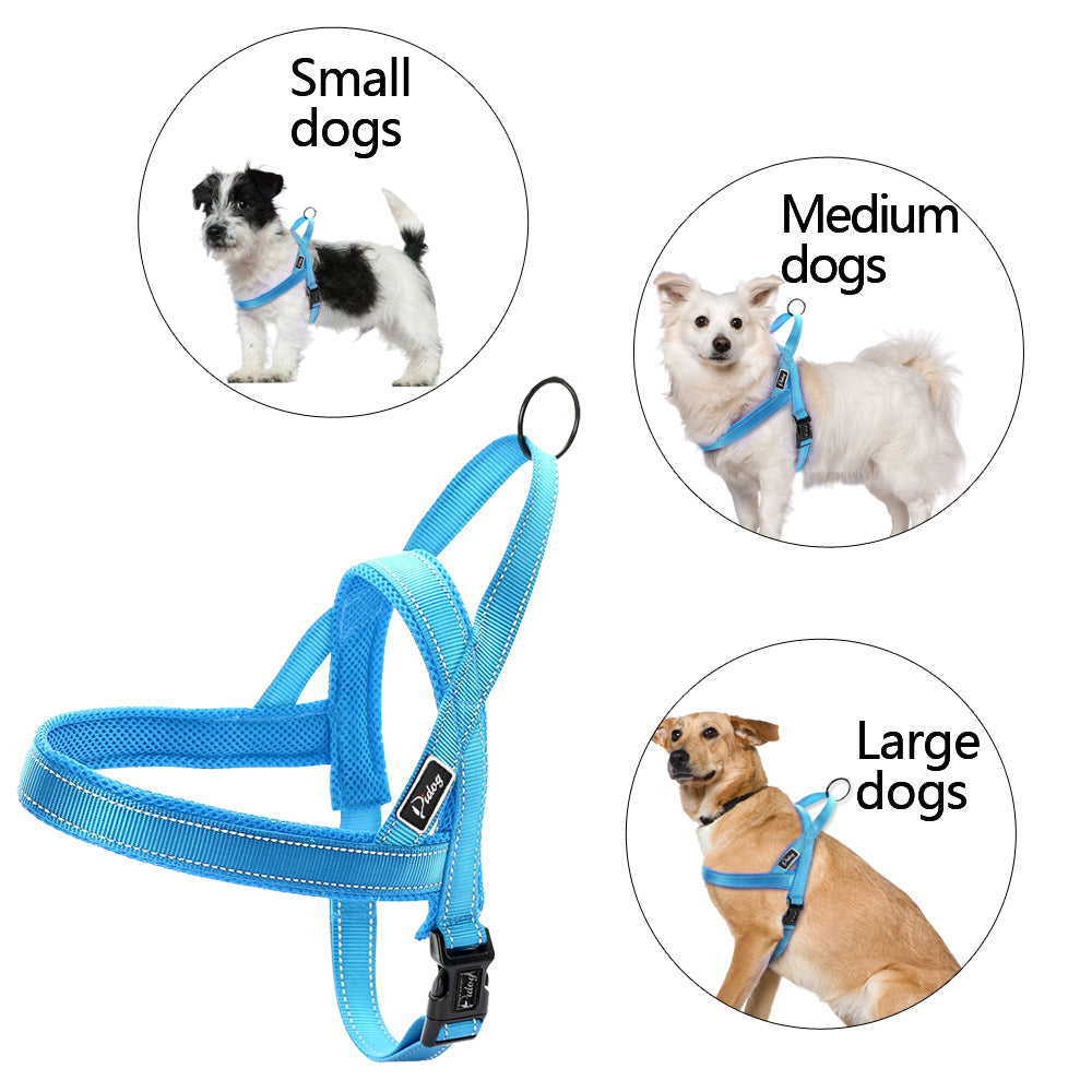 dog halter leash