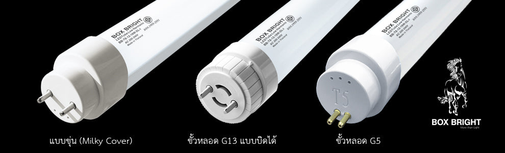 LED TUBE T8 | หลอดไฟ LED T8 รุ่น Premium Industrial Grade