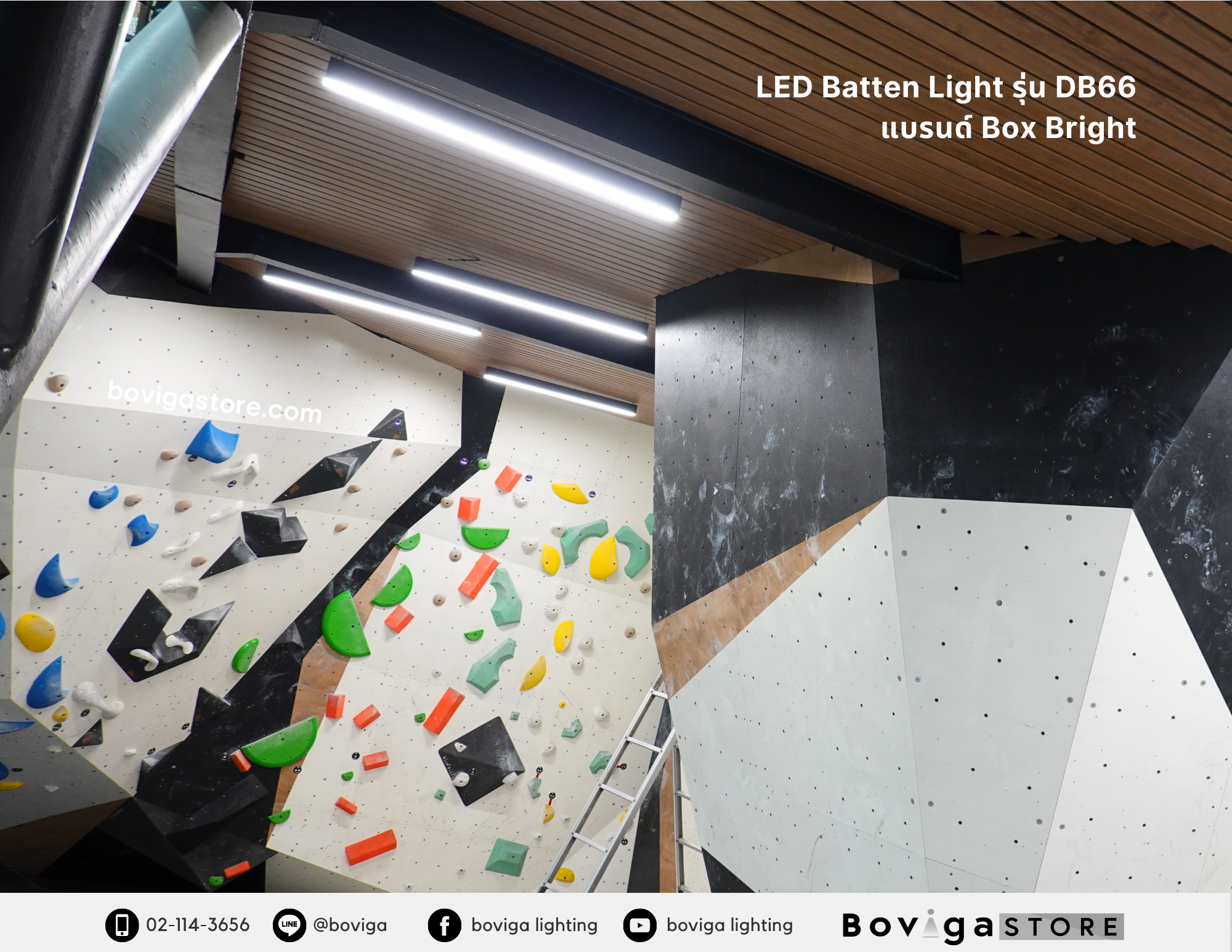 โคมไฟ LED Batten Light รุ่น DB66 แบรนด์ Box Bright ที่ Urban Playground Rock Climbing