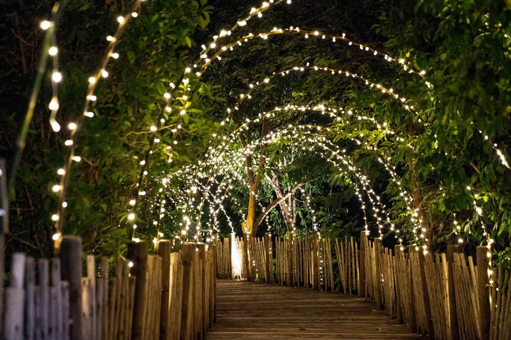 An outdoor night wedding arch is lined with wooden fencing and glowing white lights against trees.