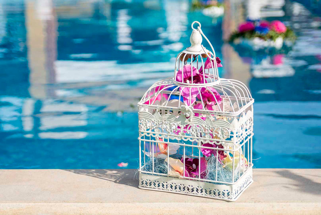 A white cage filled with purple orchids sits on the ledge of a swimming pool. 