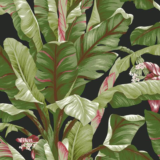 Banana Leaf Wallpaper – Chelsea Lane & Company