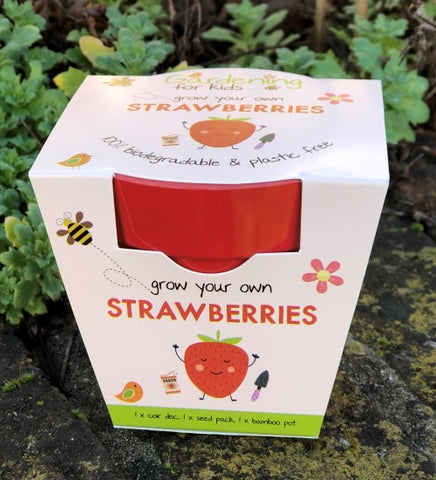 Children's Strawberry Growing Kit