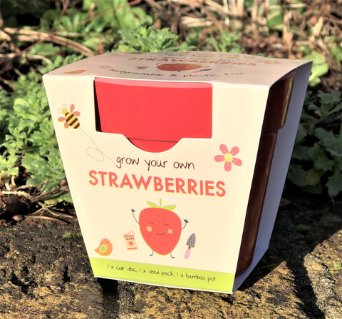 Children's Strawberry Growing Kit
