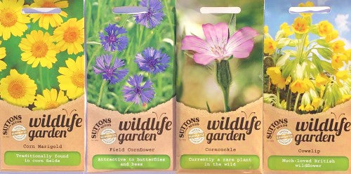 British native wildflowers