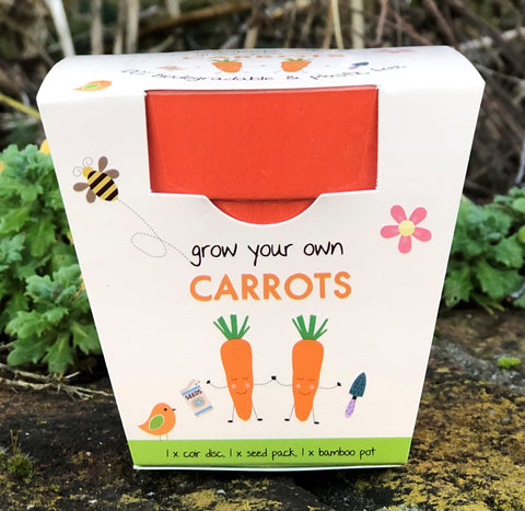 Children's Carrot Growing Kit