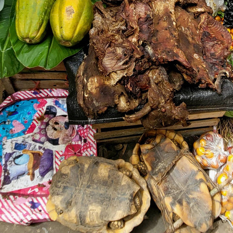 Turtle, game meat and fruit at stall at Puerto Lau port market in Iquitos