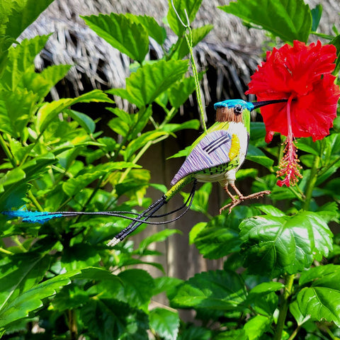 Marvelous spatule-tail hummingbird ornament with red flower at Amazonas