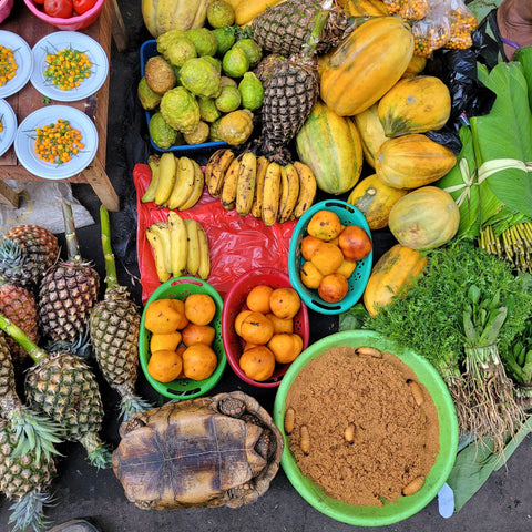 Fruit, tortoise and suri larvae at Puerto Lau market in Iquitos