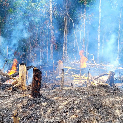 Field burning near Puca Urquillo