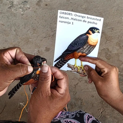 Photo and chambira ornament of orange breasted falcon