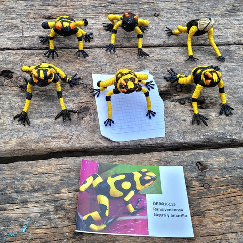 Poison arrow frog photo and chambira ornaments at Amazon Ecology workshop at Amazonas