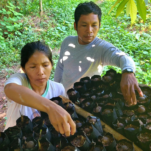 Ketty and Wenceslao weeding around artisan association chambira seedling nursery at San Francisco