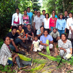Bora artisans at chambira management workshop. Photo by Amazon Ecology.