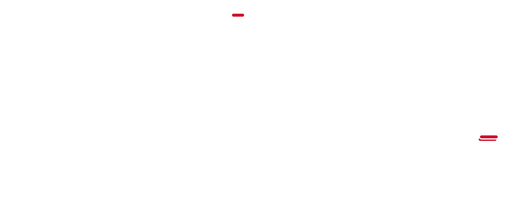 DETROIT DENIM CO.